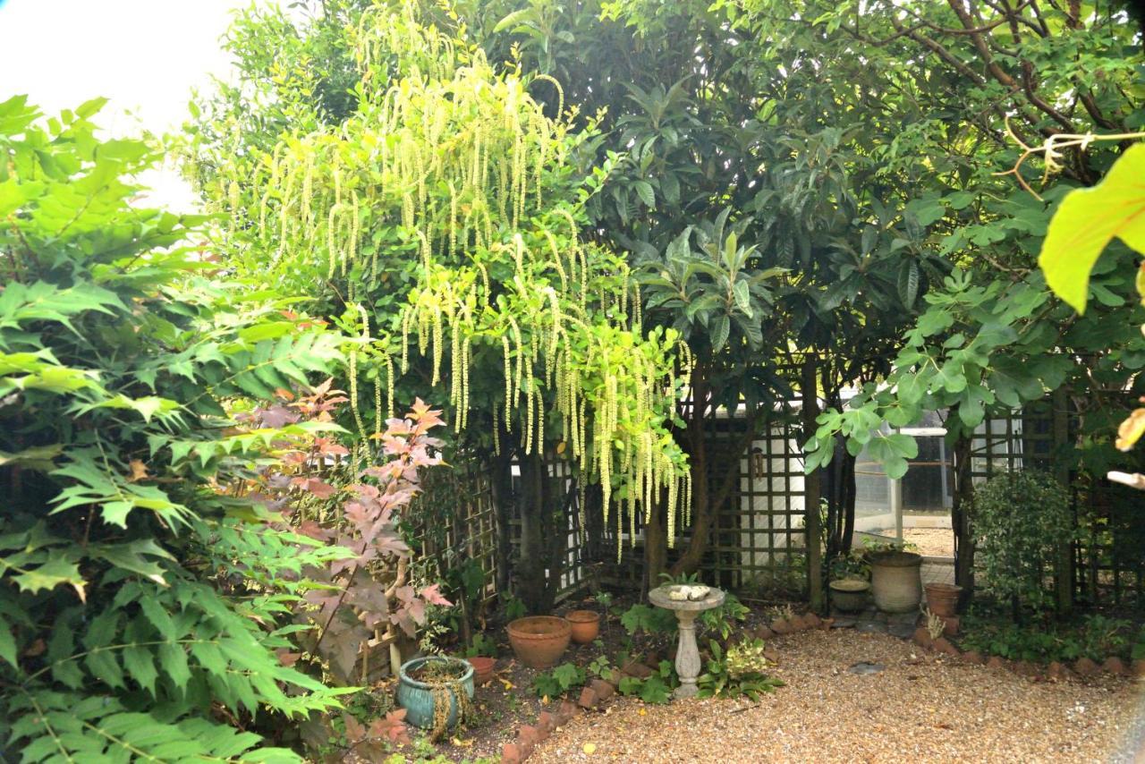 Villa Cosy House, A Train Spotter'S Delight! New Alresford Exterior foto